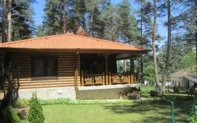 Villa Borovinka