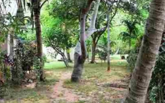 Thanh Kim Nga Bungalow