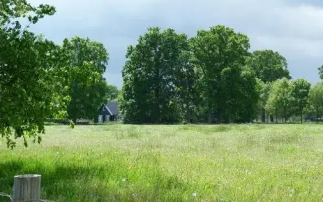 De Knapschinkel Beheer B.V.