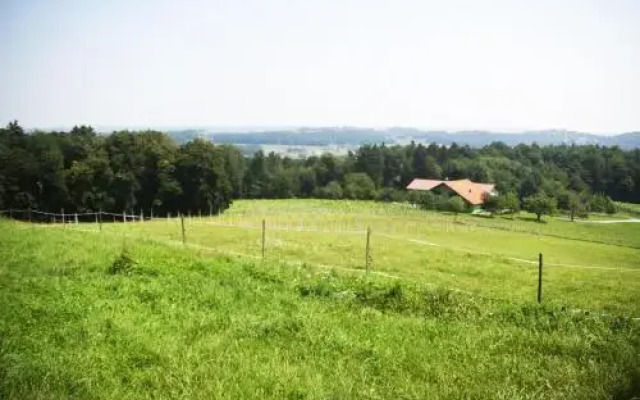 Posestvo Mestni Vrh