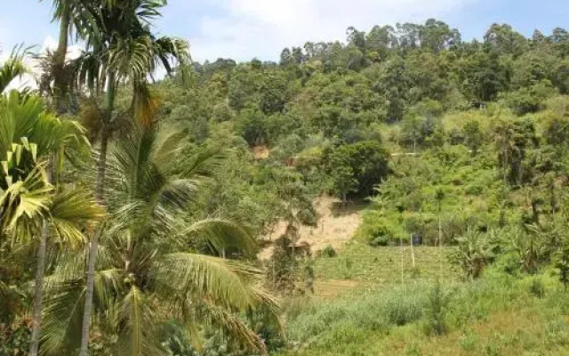 Cascade Vally