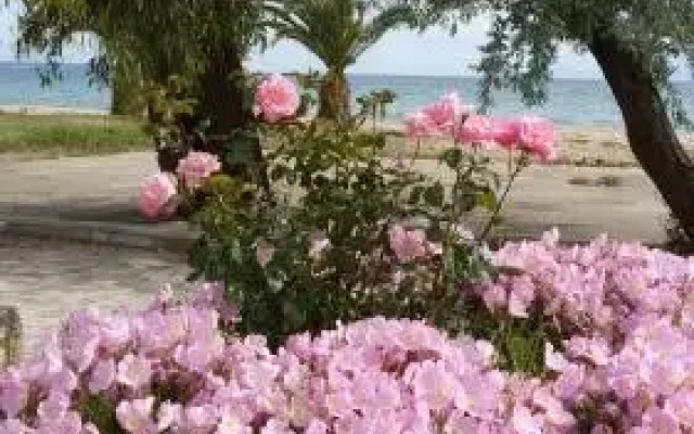 AM Beach House