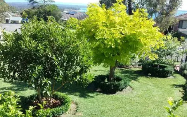 Jervis Bay Blue - Vincentia