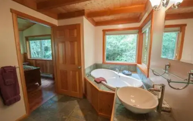 Evergreen Forest Cabins