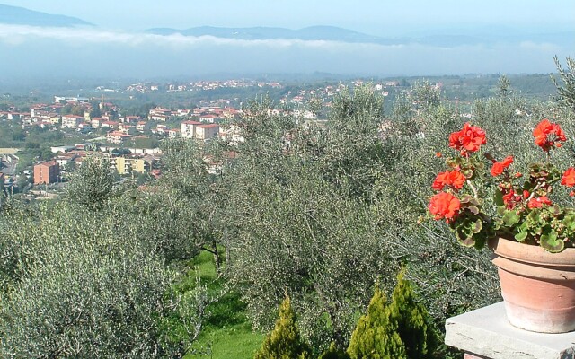 Podere Berrettino