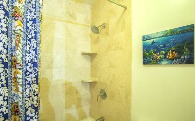 Kauhale Makai 433 - 2 Br Condo