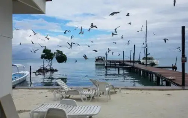 The Club At Caye Caulker