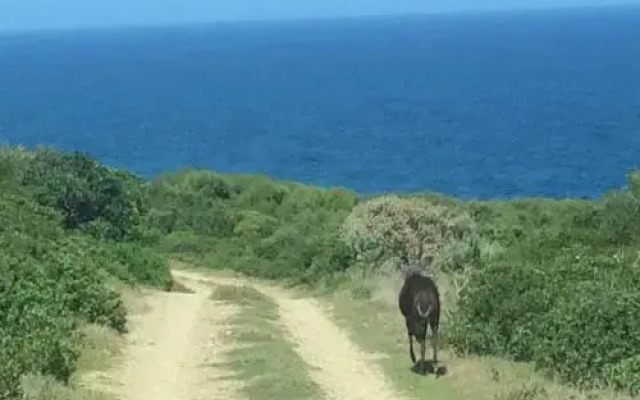 Farmhouse On The Rocks