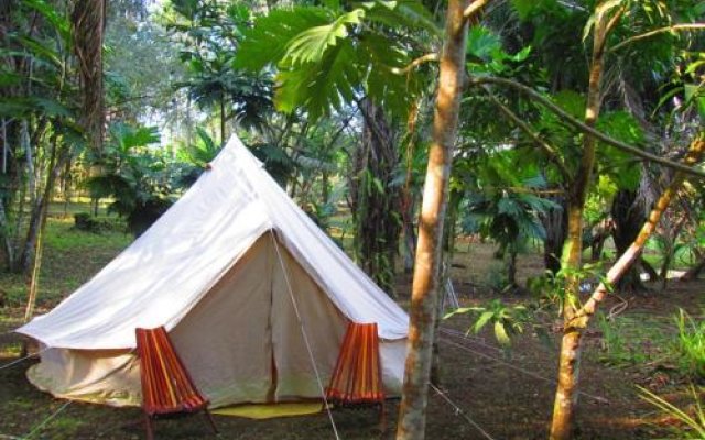 Chaya Maya Jungle Lodge