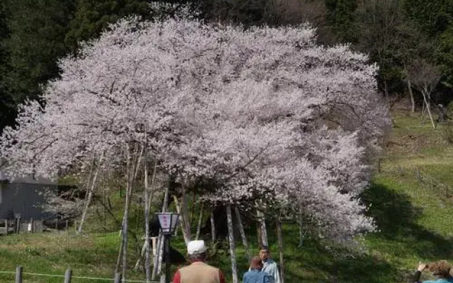 Hakuunsou