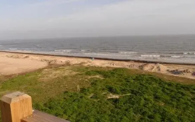 Love Shack by RedAwning