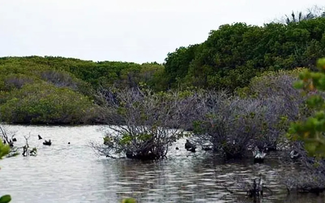 Famoso Inn Kulhudhhuffushi