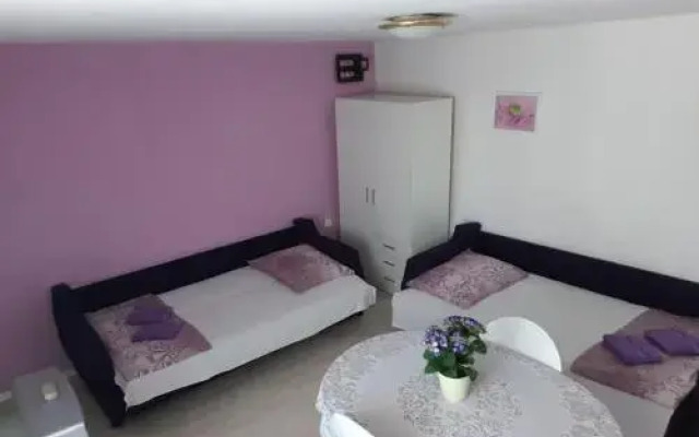Accommodation Vesa