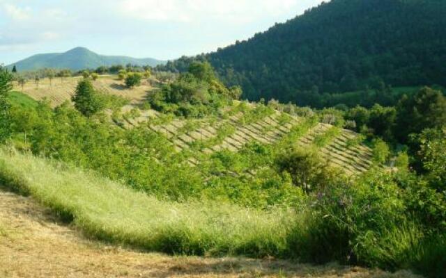 Agriturismo La Paladina Di Clari Anna