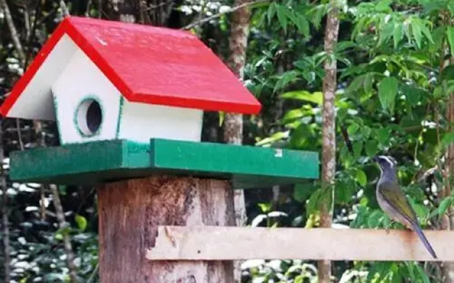 Chalés Fazenda das Samambaias