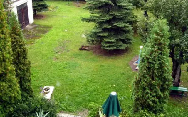 Hotel Český Dům