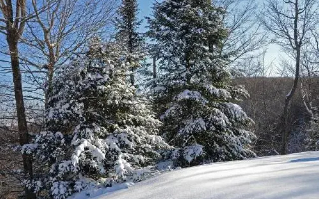 Jardin du Village by Chez Tremblant