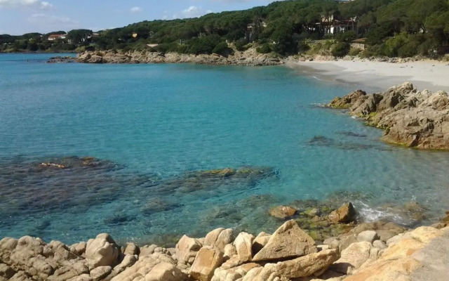 Giglio di Mare