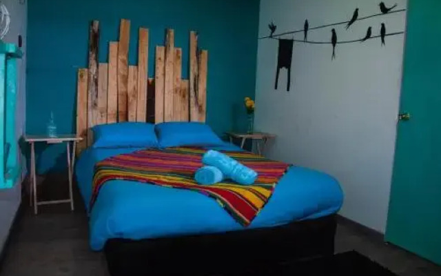 Ecoluna Lodge - Hostel