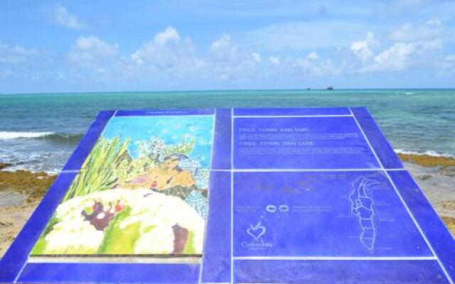 breeze view and culture