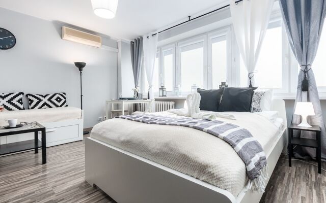 Little Home - Black Swan