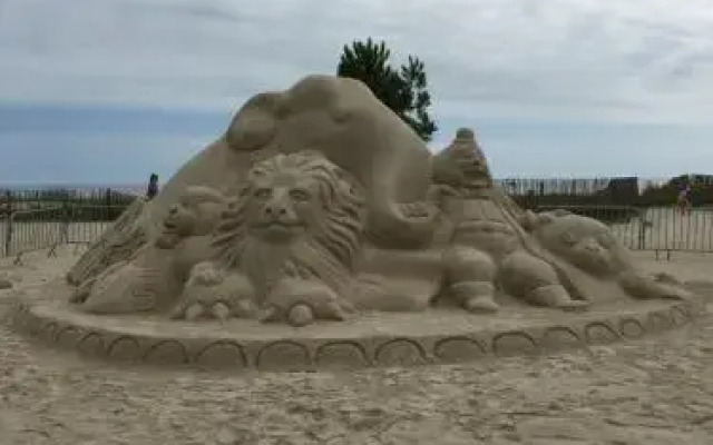 Camping les Palmiers