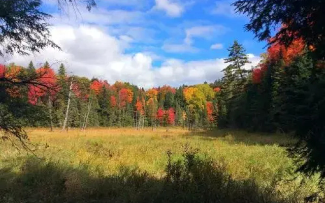 Madawaska Lodge