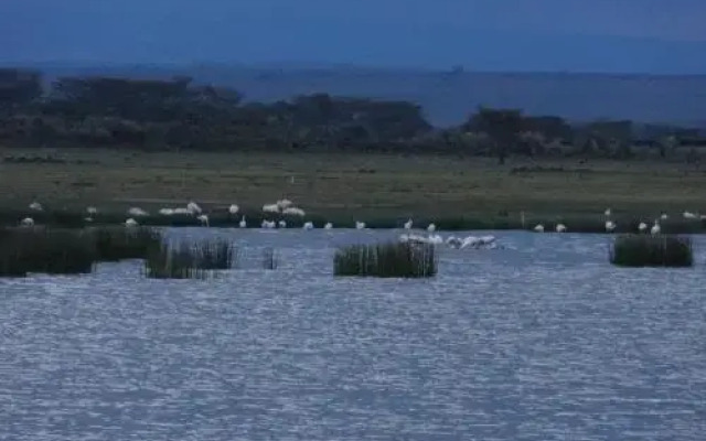 Eagles Point Camp, Lake Elementaita