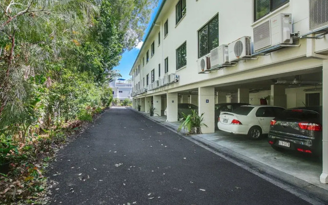 Turtle Dreaming in Palm Cove