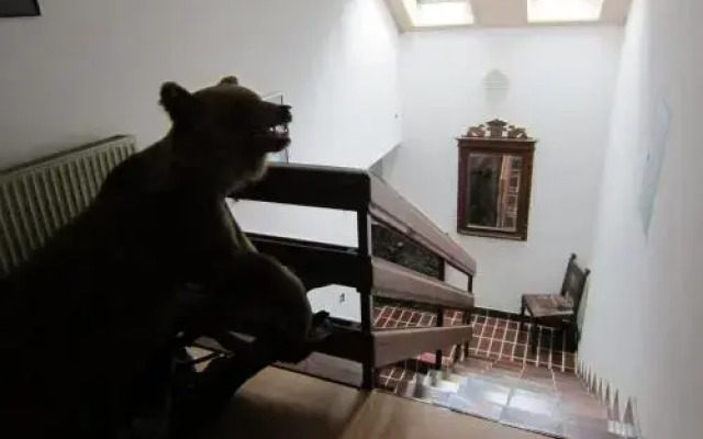 Klub Gurmanov Skaručna