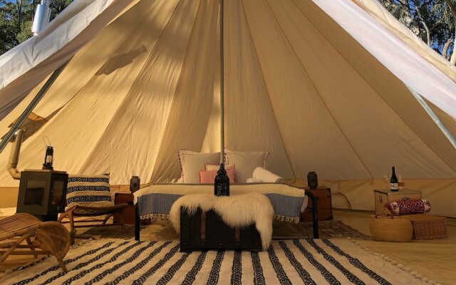 Wild In Style for Glamping