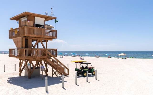 MI Happy Place - Sea Turtle 4