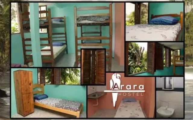 Arara Hostel