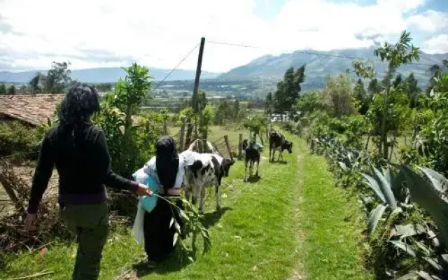 Runa Tupari Homestay Lodge