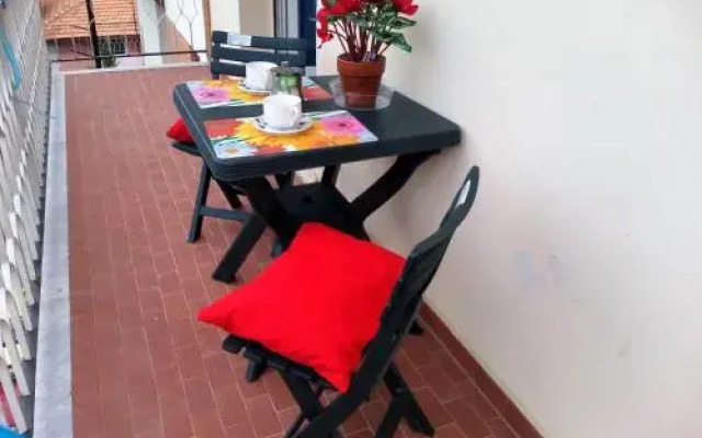 House Argia by Holiday World