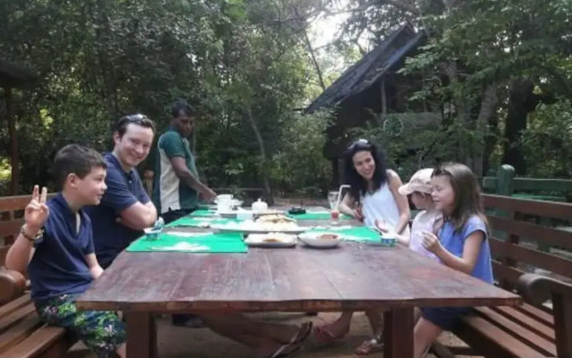 Jiwes Hideout Forest Region