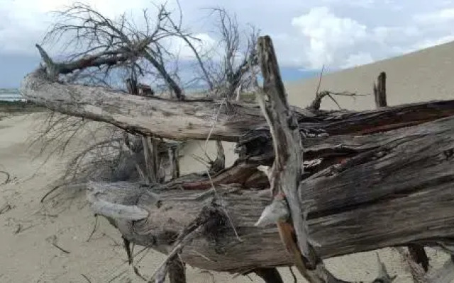 Villa Rosa Porto Pino