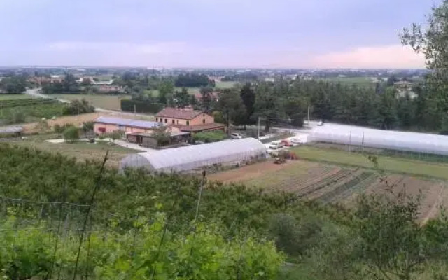 Agriturismo Perugini