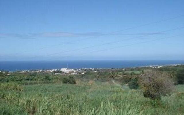 Hébergement, Location - Saint -Pierre , île de la Réunion : Les Gîtes Pastels