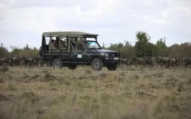 Ngerende in the Wild Riverview