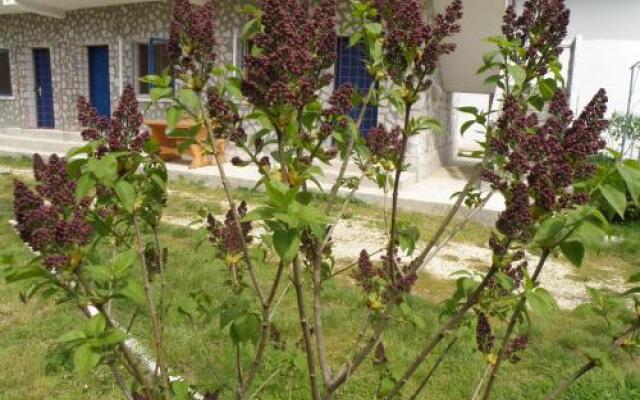 Pensiunea Tourist Paradis