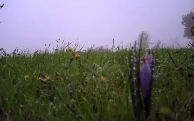 Agriturismo il Mercante