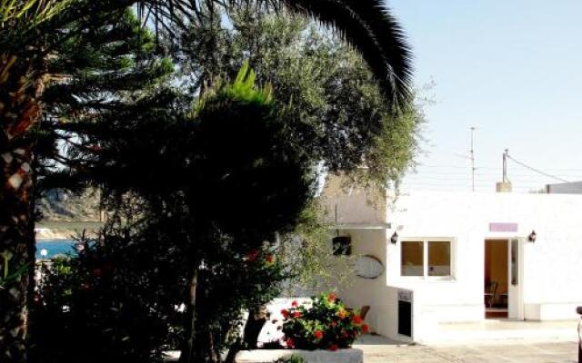 Purple Pig Stars Camping & Bungalows