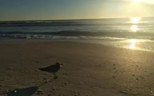 Sandy Shells Wkly Pets Welcome 100 Steps To Ocean! 2 Bedroom Home by RedAwning