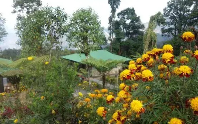 The Barfung Retreat
