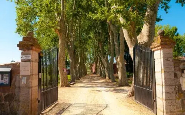 Domaine de la Baratonne