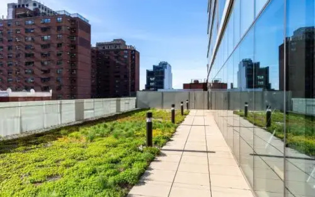 Stay Alfred at 2116 Chestnut