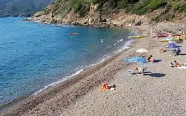 Camping Reale