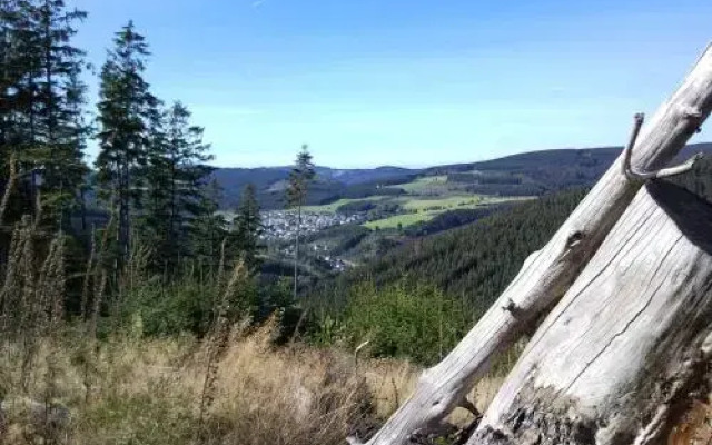 Ferienwohnungen Luge - Winterberg