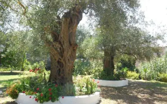 Petros Studios